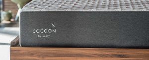 Read more about the article Cocoon Mattress Review