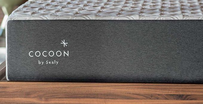 Cocoon Mattress Review