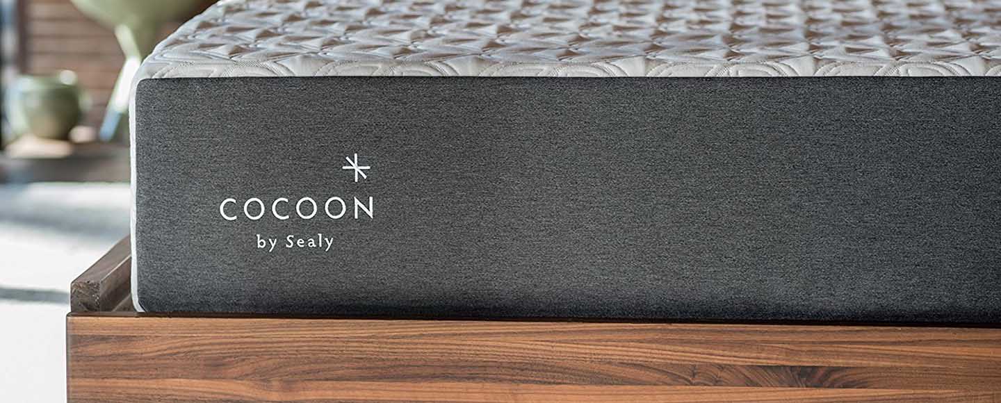 Cocoon by Sealy Mattress Review