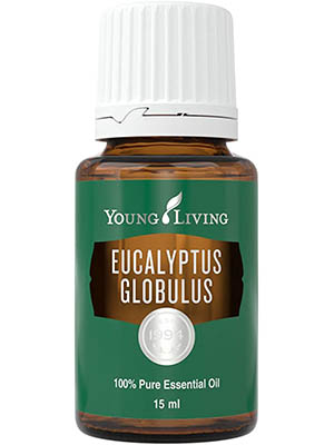 Eucalyptus Globulus (Eucalyptus) A leaf oil